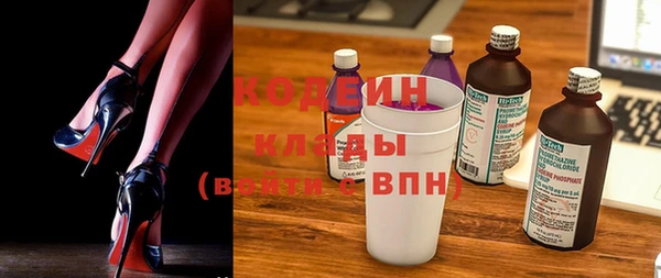 индика Балахна