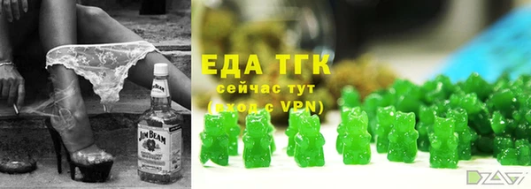 индика Балахна