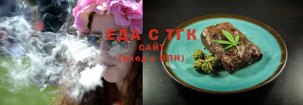 индика Балахна
